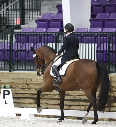 Dressage Clinic at Destination Farm (Dickerson, MD) Dec 10th, 2025