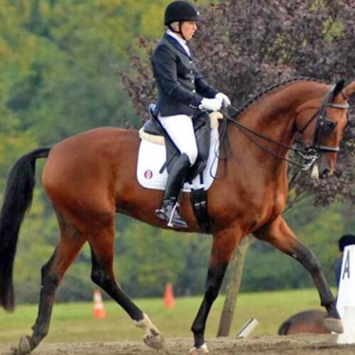 Dressage Clinic at Destination Farm (Dickerson, MD)
