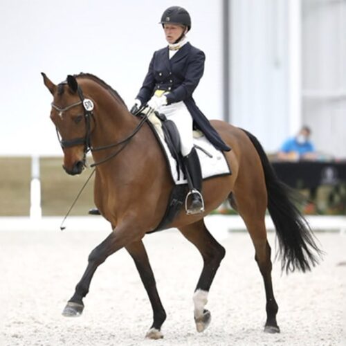 Dressage Clinic at Trevi Manor (Lothian, MD)